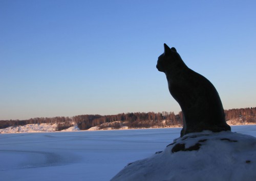 Кошка
