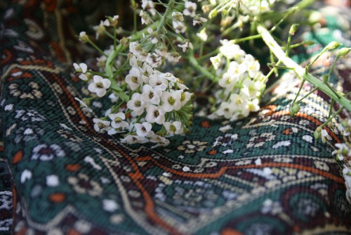 IMG_3000_новый размер.JPG