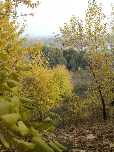 DSC02648.JPG