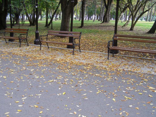 ..начало октября в приморском парке..