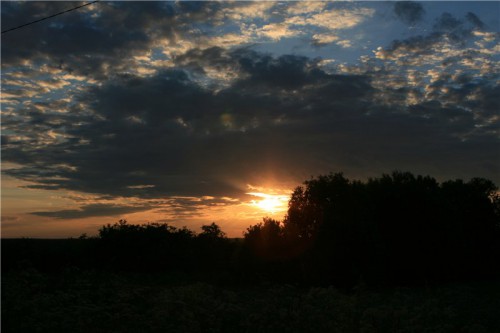 я природа.jpg