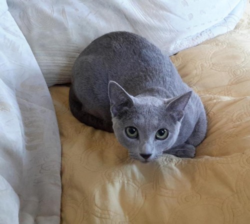 расширенные от ужаса глаза смотрели на нас  сразу после транспортировки