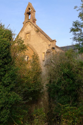 58.JPG