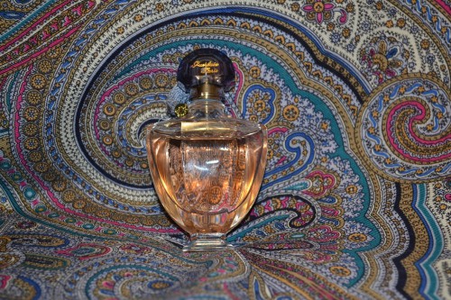 DSC_8488.JPG