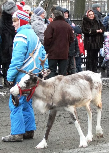 дед мороз 2014-12-27 023.JPG