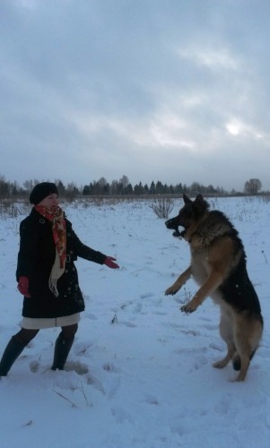 Боярышня