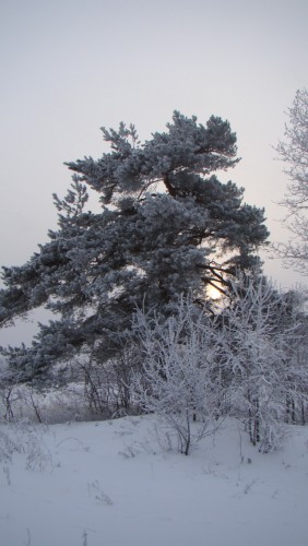 DSC09728.JPG