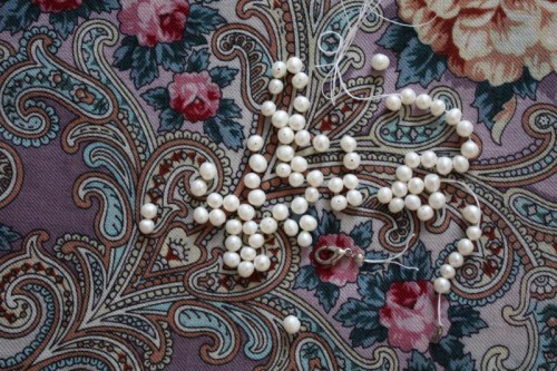 IMG_1987_800x533.jpg