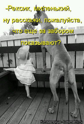 kotomatritsa_pB.jpg