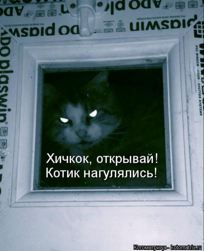 kotomatritsa_n.jpg