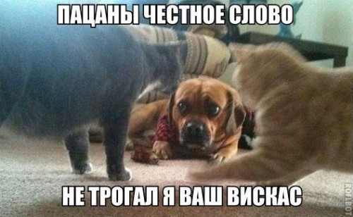 aQkgosrh_y0.jpg