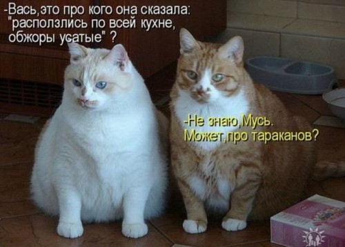 getImage (3) (1).jpg