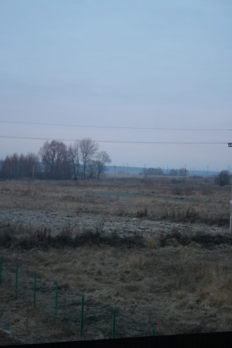 IMG_6140_новый размер.JPG