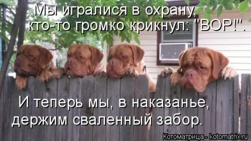 kotomatritsa_M4.jpg