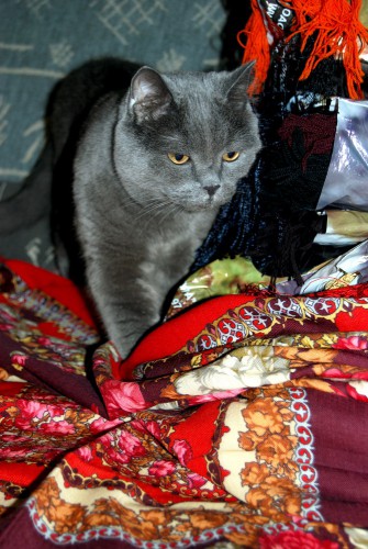 Федя4.jpg