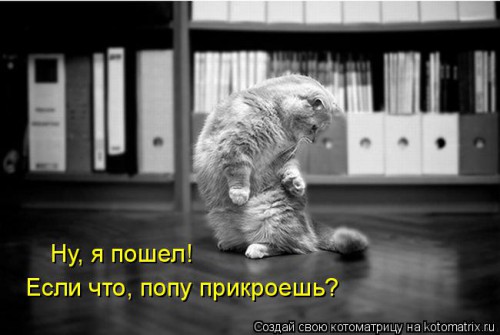 kotomatritsa_yf.jpg