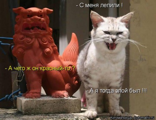 kotomatritsa_6.jpg