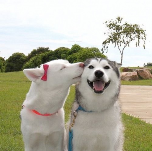 13554560-R3L8T8D-650-tumblr_nk2y8iZIAk1qa8gt7o1_1280.jpg