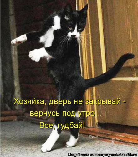 kotomatritsa_sM.jpg