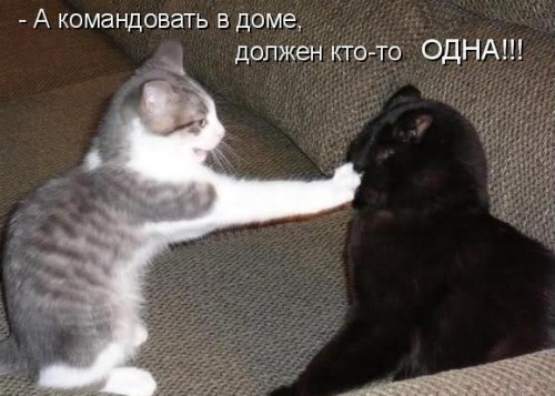 w_B8FAxZKRs.jpg