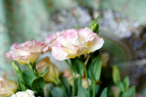 DSC_5583.JPG