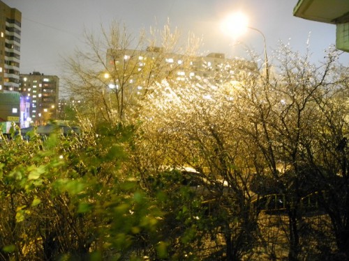 DSCN2158.JPG