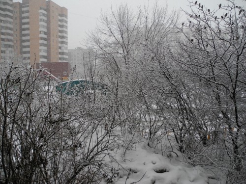 DSCN2175.JPG
