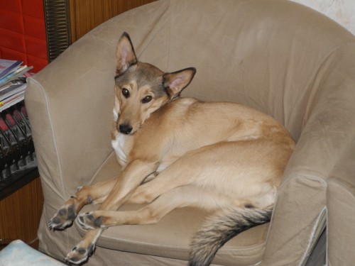 DSCN2178.JPG