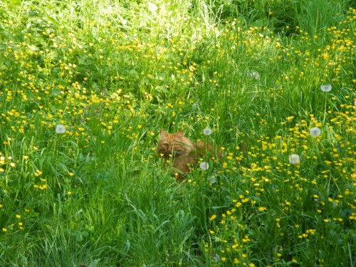 DSCN5007.JPG
