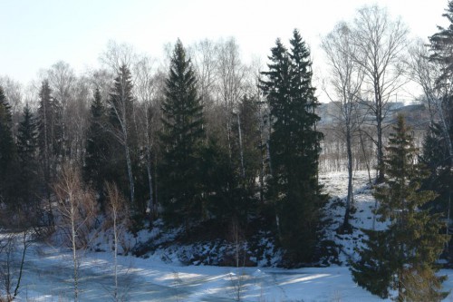 DSC01479.JPG
