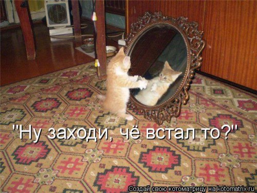 1413361108_hohotok.net_1413259951_08.jpg
