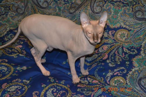 DSC_8969.JPG