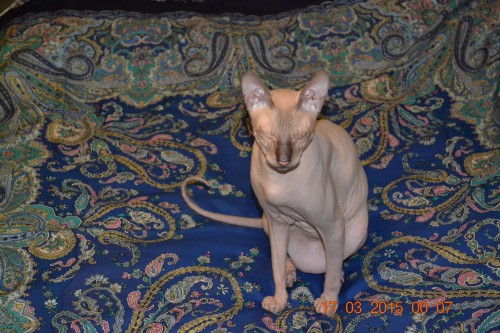 DSC_8971.JPG