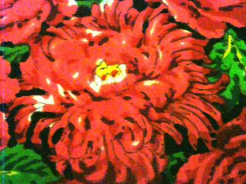 DSC06421.JPG
