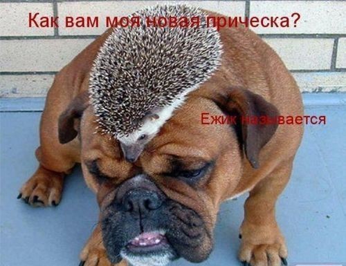 прическа.jpg