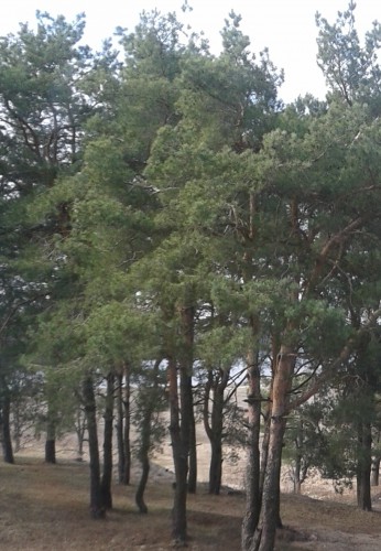 20150328_003954.jpg