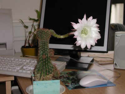 P1010003.JPG