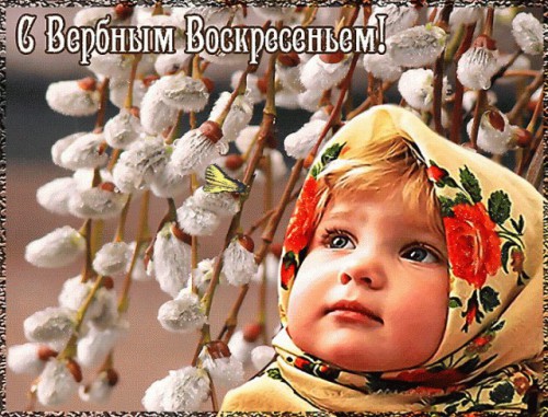 6RAvdHvHCu4.jpg