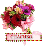 спасибо вам.gif