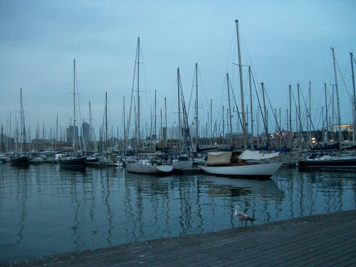 100_7597.JPG