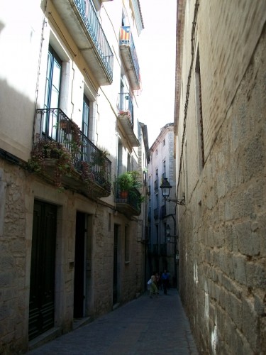 100_7648.JPG