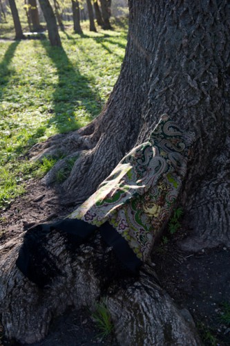DSC_6391.JPG