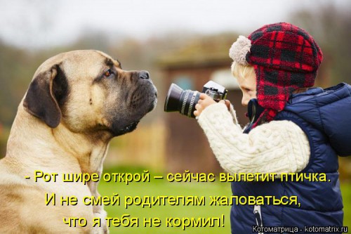 kotomatritsa_lV.jpg