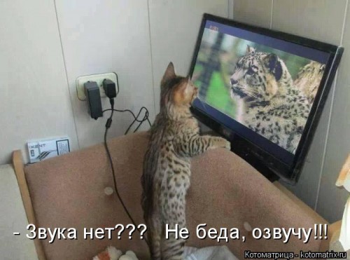 kotomatritsa_S_.jpg