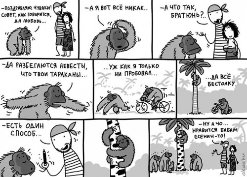 123.jpg