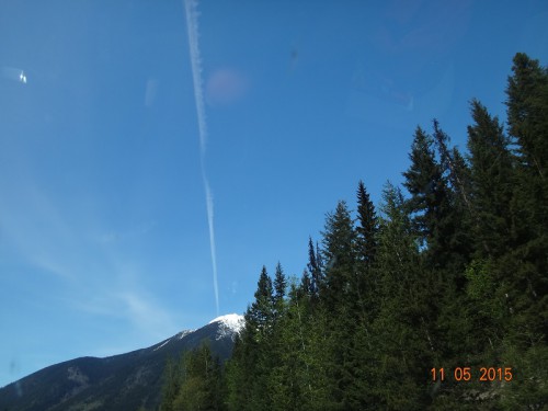 13- 49798.jpg