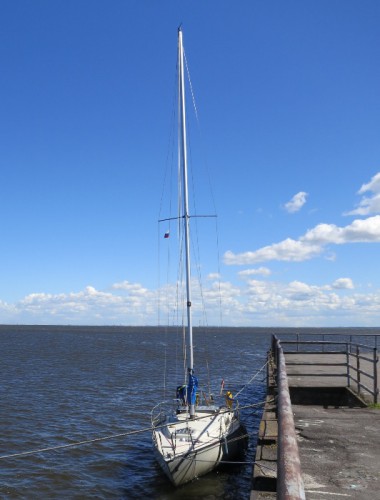 123345612_IMG_7355.jpg
