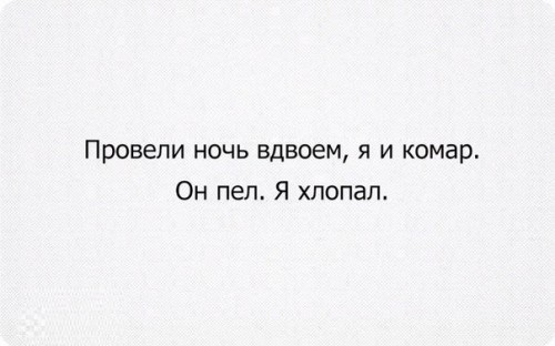 комар.jpg