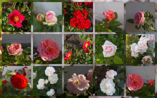 2013-07-14 Разное.jpg