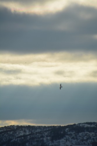 DSC_1949.jpg